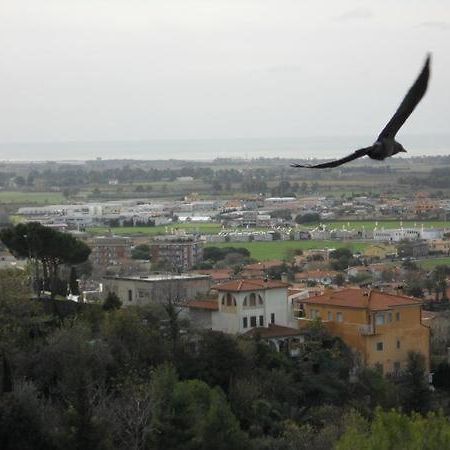 Bed and Breakfast Al Castello Tarquinia Exterior foto