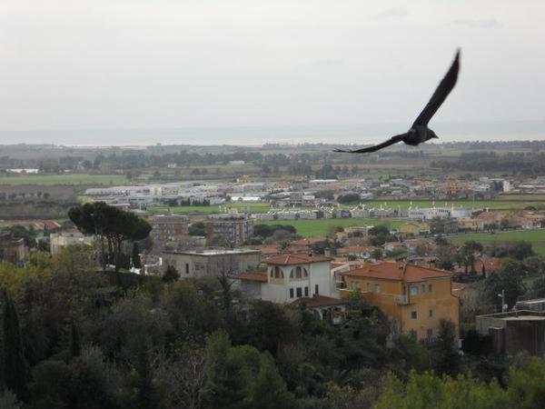 Bed and Breakfast Al Castello Tarquinia Exterior foto